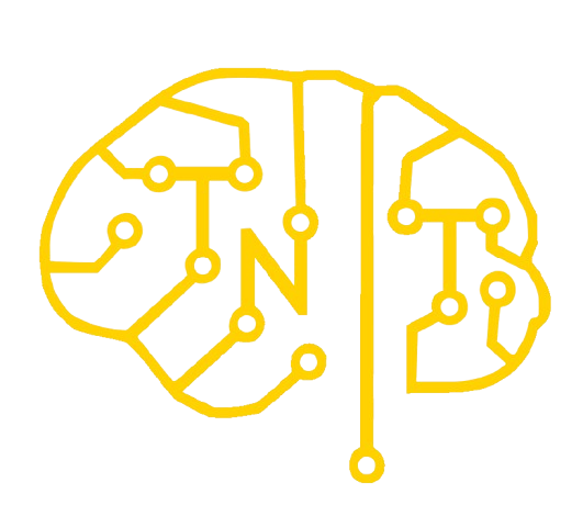 Triton NeuroTech logo